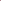 A Beautiful Purple Candy Carnations Melody
