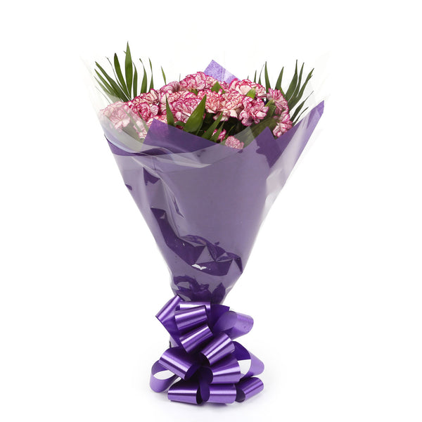 A Beautiful Purple Candy Carnations Melody