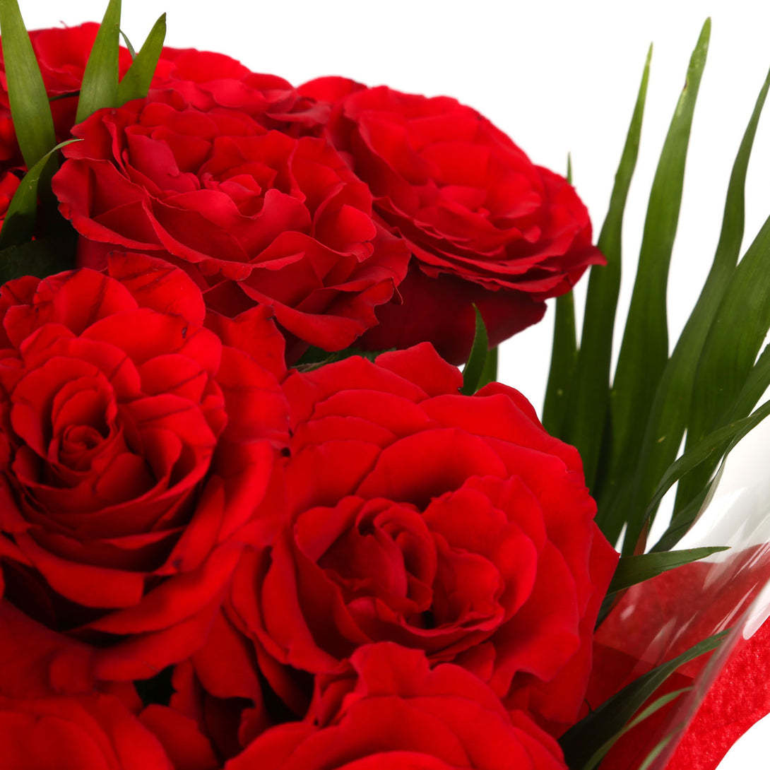 20 Red Roses Bouquet – Bouquetsbypost