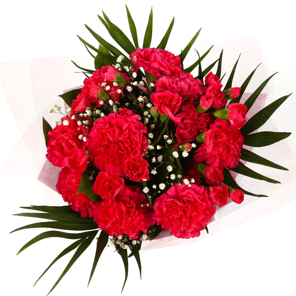 A Beautiful Red Carnations Melody