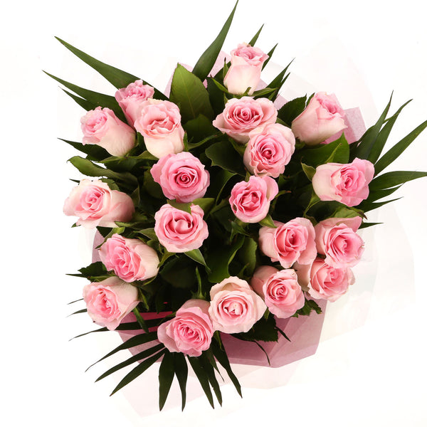 20 Beautiful Pink Roses