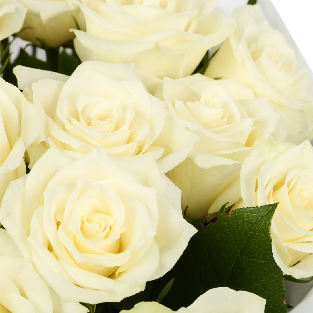 20 White Roses Bouquet – Bouquetsbypost