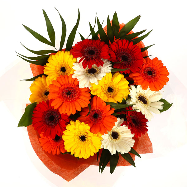 A Gerbera Special Daisy Bouquet