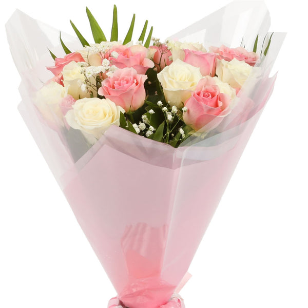 20 Sweet Pink & White Roses